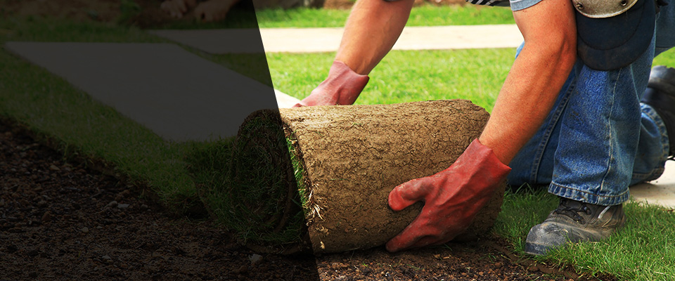 Englewood Landscapers